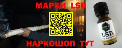 шишки Обь